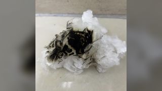 Biodegradable High Flame Retardant Lyocell Staple 1.33D*38MM, Uniform Cut Fiber for Spinning & Nonwo