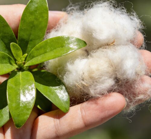 Τελευταίες εταιρικές ειδήσεις για Hollow Fibers Black & White: Η Εξοριστική Επιλογή για την Κλωστοϋφαντουργία & Βιομηχανική Παραγωγή