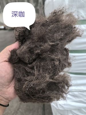 Καλή τιμή. Ανακυκλωμένο πολυεστέρα Staple Fiber 3D 51mm Dark Coffee σε απευθείας σύνδεση