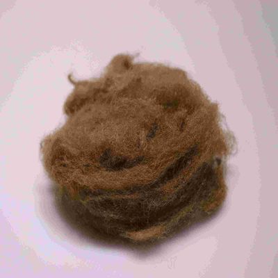 Καλή τιμή. Περιβαλλοντικά φιλικό 4080 Polyester Staple Fibres Καφέ άνετο Polyester Short Fiber σε απευθείας σύνδεση