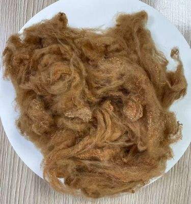 Καλή τιμή. Ανακυκλωμένη πολυεστέρα Staple Fiber 2.5D 51mm Κίτρινη καμήλα σε απευθείας σύνδεση