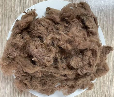 Καλή τιμή. Ανακυκλωμένη πολυεστέρα Staple Fiber 2.5D 51mm Κίτρινο καφέ Υψηλή αντοχή στις ρυτίδες σε απευθείας σύνδεση