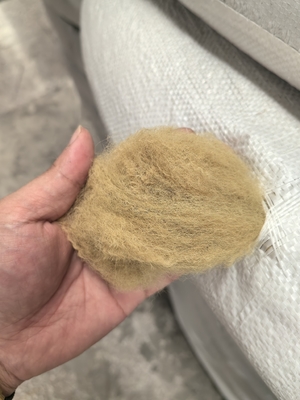 Καλή τιμή. Ανακυκλωμένη πολυεστέρα Staple Fiber 6D 51mm Beige χαμηλή επιμήκυνση σε απευθείας σύνδεση
