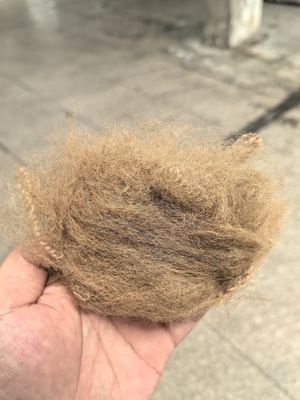 Καλή τιμή. Ανακυκλωμένη πολυεστέρα Staple Fiber 6D 51mm Camel υψηλή αντοχή σε δάκρυα σε απευθείας σύνδεση